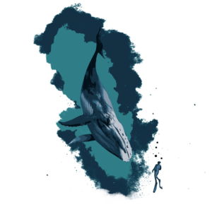 Vector Design by Kareem Afifi for this project | Design: #28171159