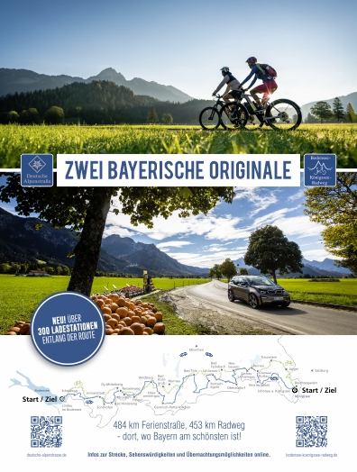 Advertisement Design by DesignART for Alpin Consult | Design #28118086