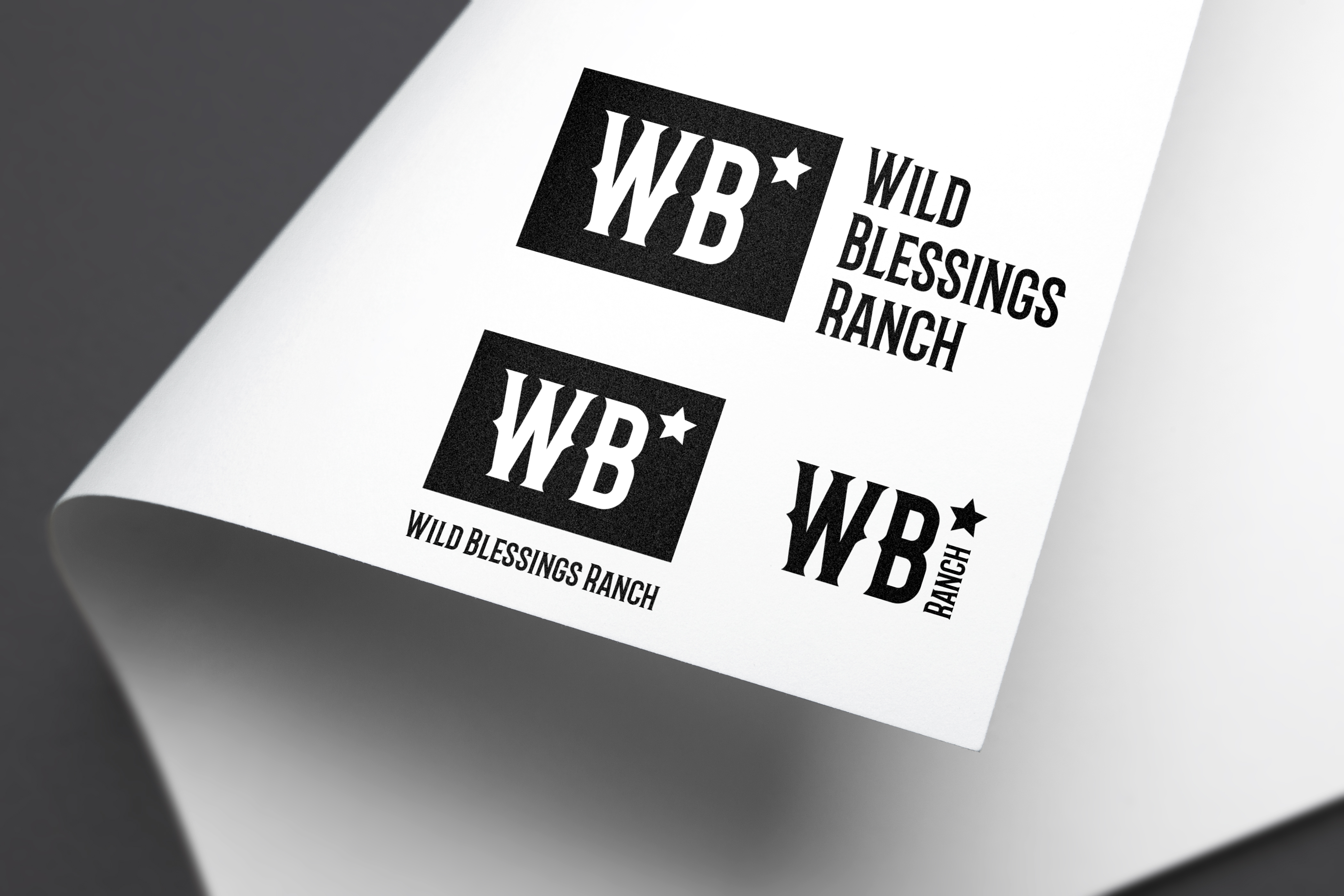 Logo Design by CC Creative Design for EV Construction | Design #28155669