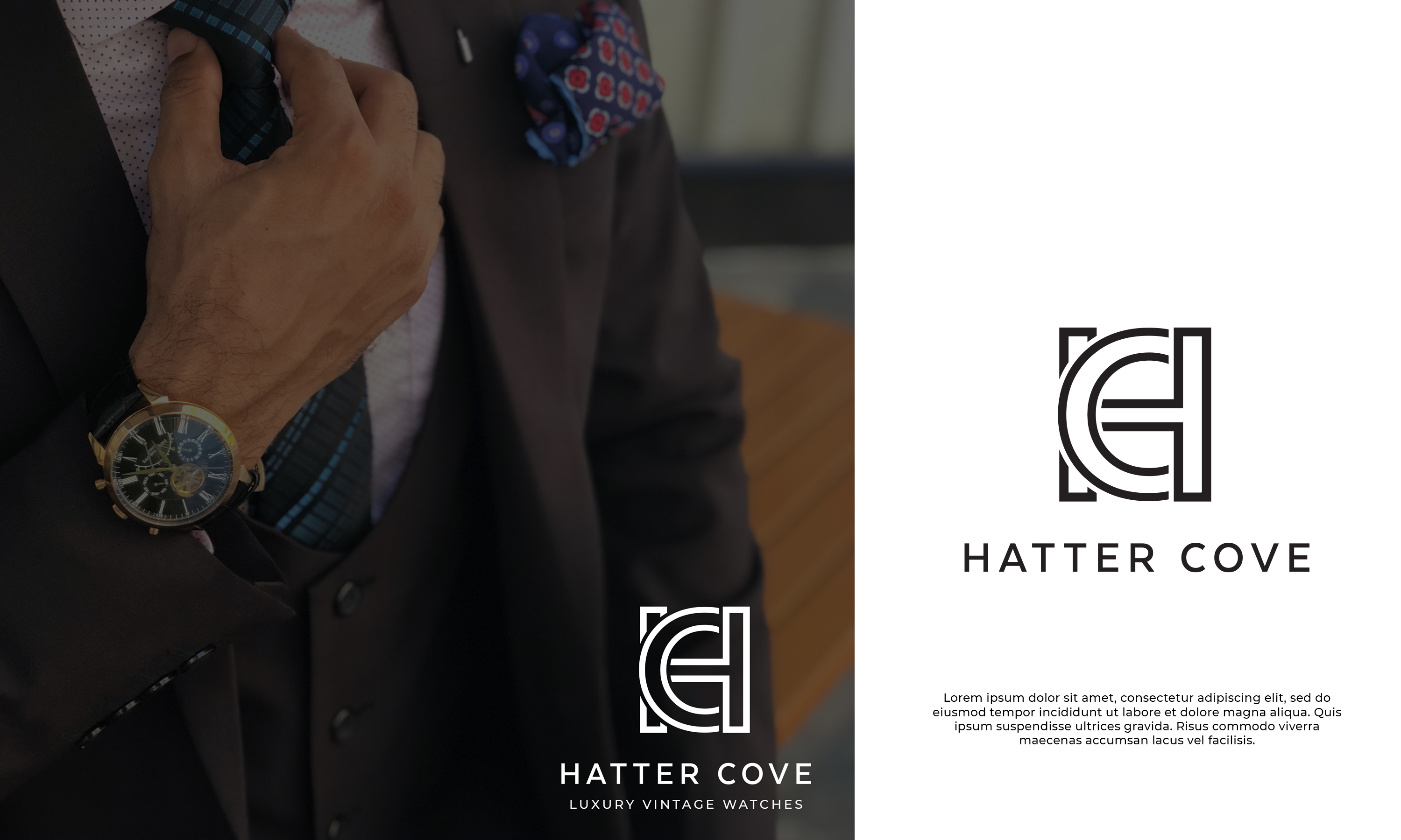 Logo Design by ILLUSTRATOR PRO for this project | Design #28156566