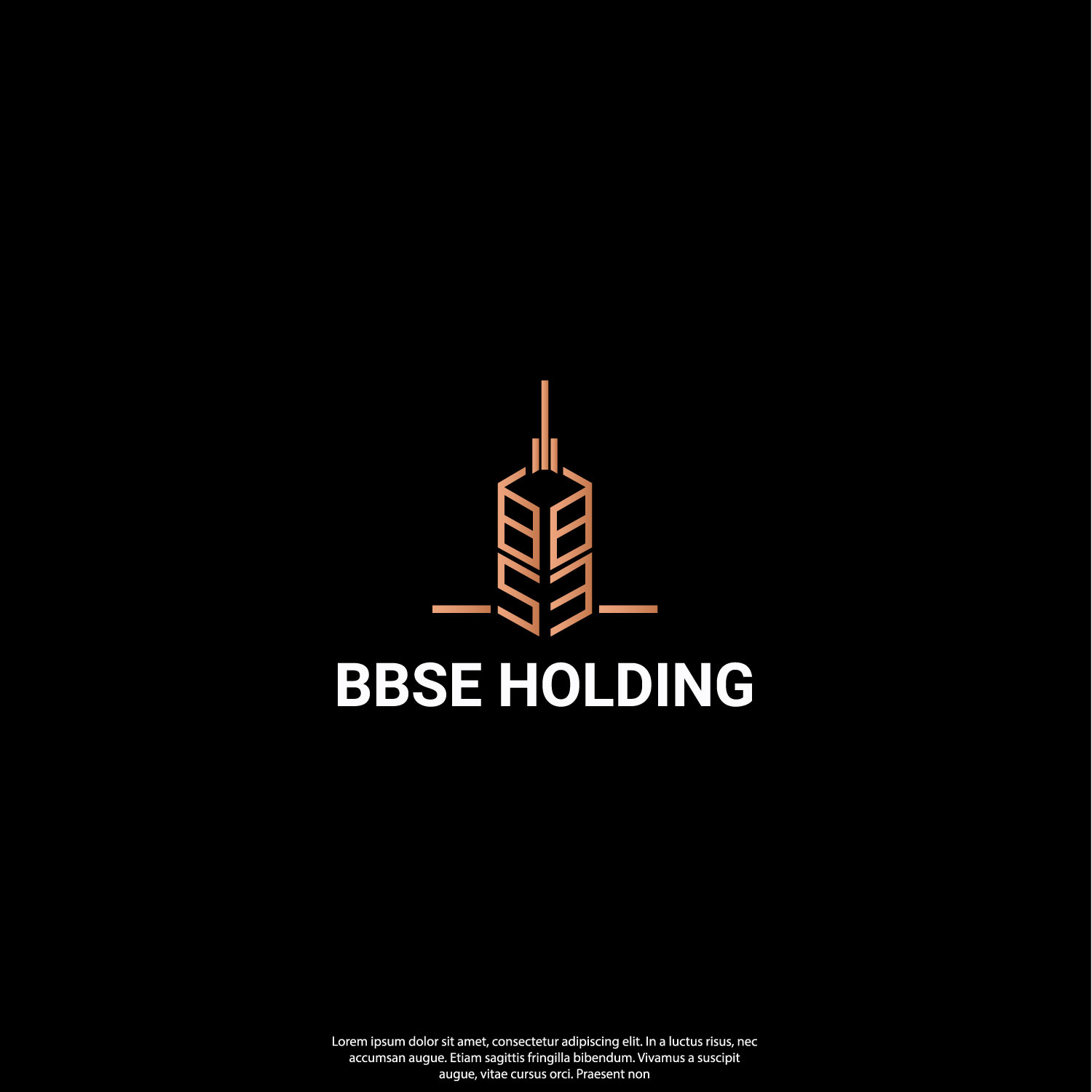 Logo Design by Clean Designs 2 for BBSE HOLDING | Design: #28197352