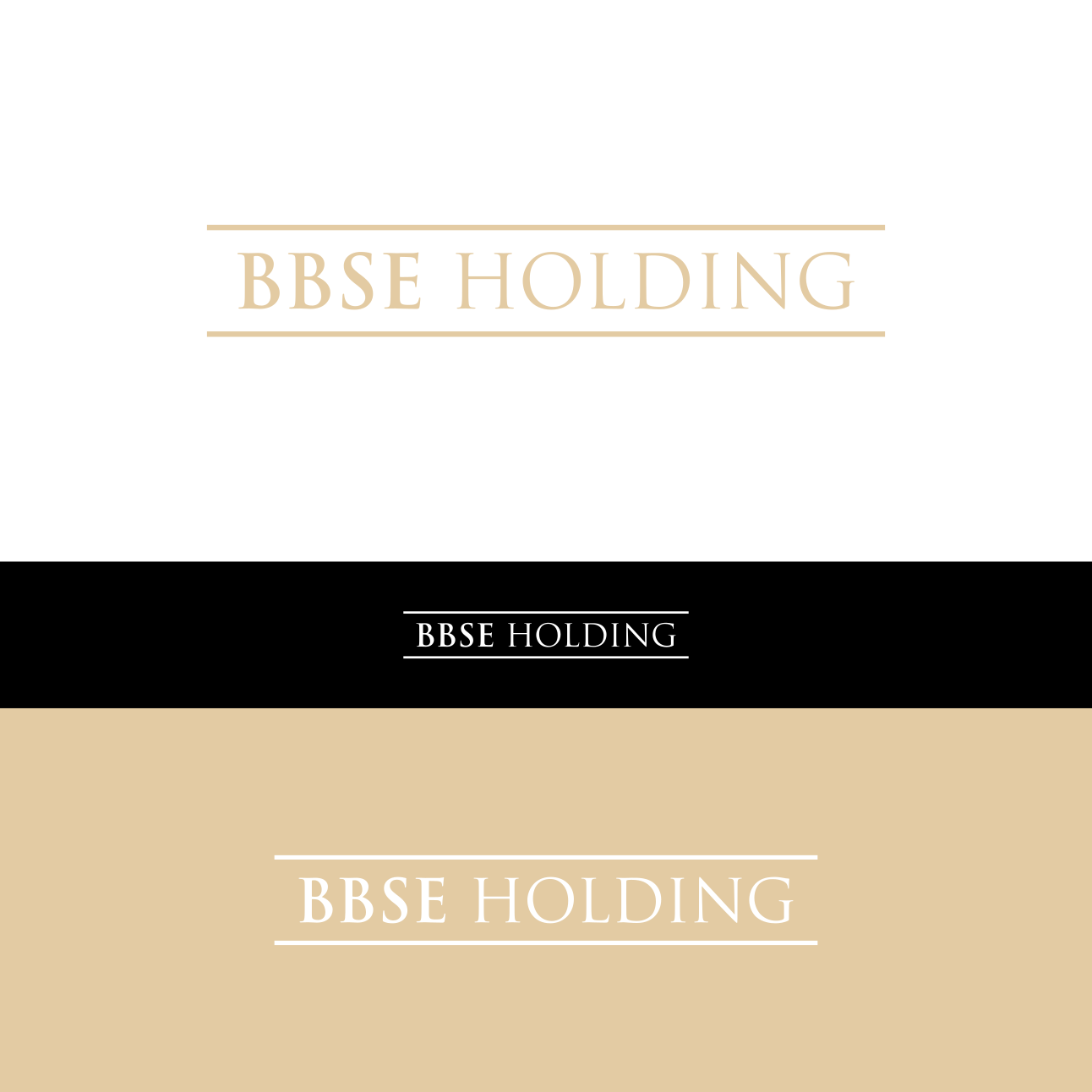 Diseño de Logo por ninisdesign para BBSE HOLDING | Diseño #28129984