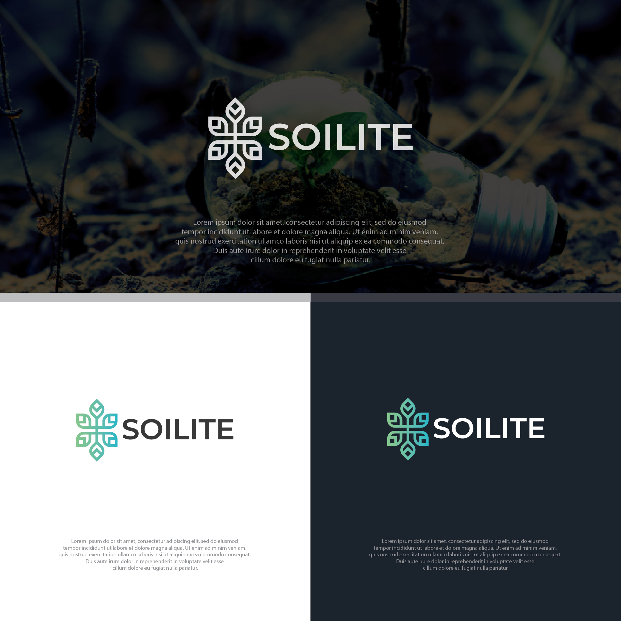 Logo Design by RPN.Kusuma for Cappacity BV | Design #28156047