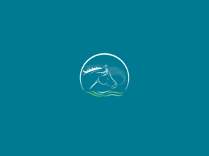 Logo Design by UsBeingUs.com - Debs for MSP Pferde GmbH | Design: #28161571