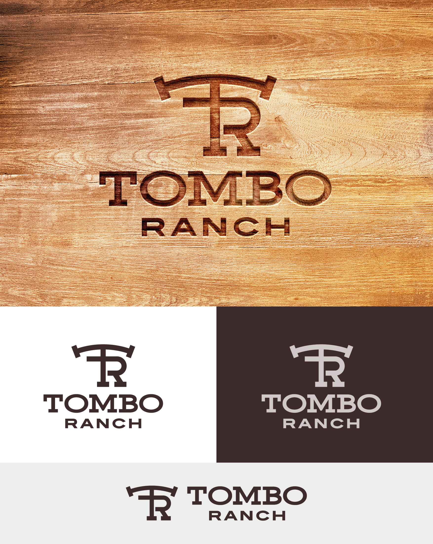 Logo Design by grrssn for this project | Design #28183411