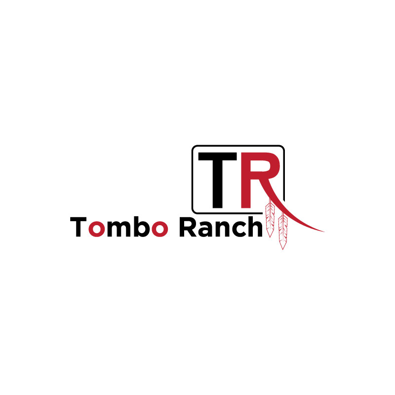 Logo Design by Ansh Design for this project | Design #28156110