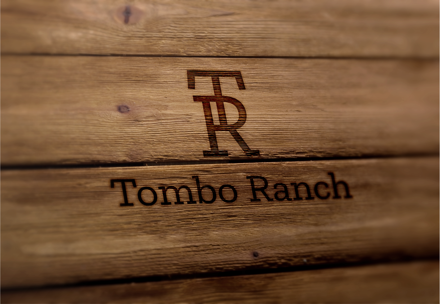 Logo Design by BNdesigner for this project | Design #28154703