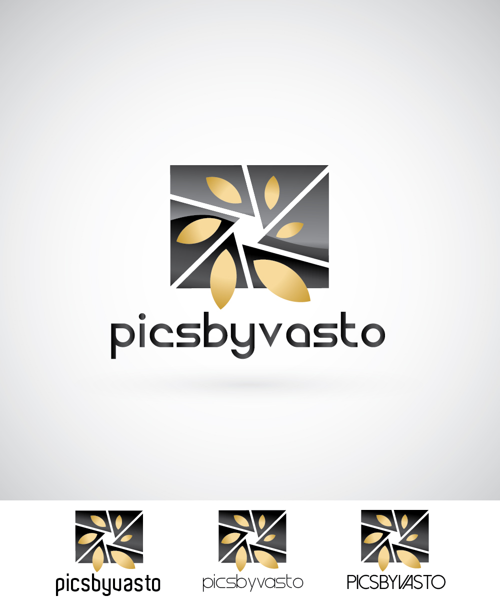 Logo Design by iRoN Design for Pics by Vasto | Design: #3094502