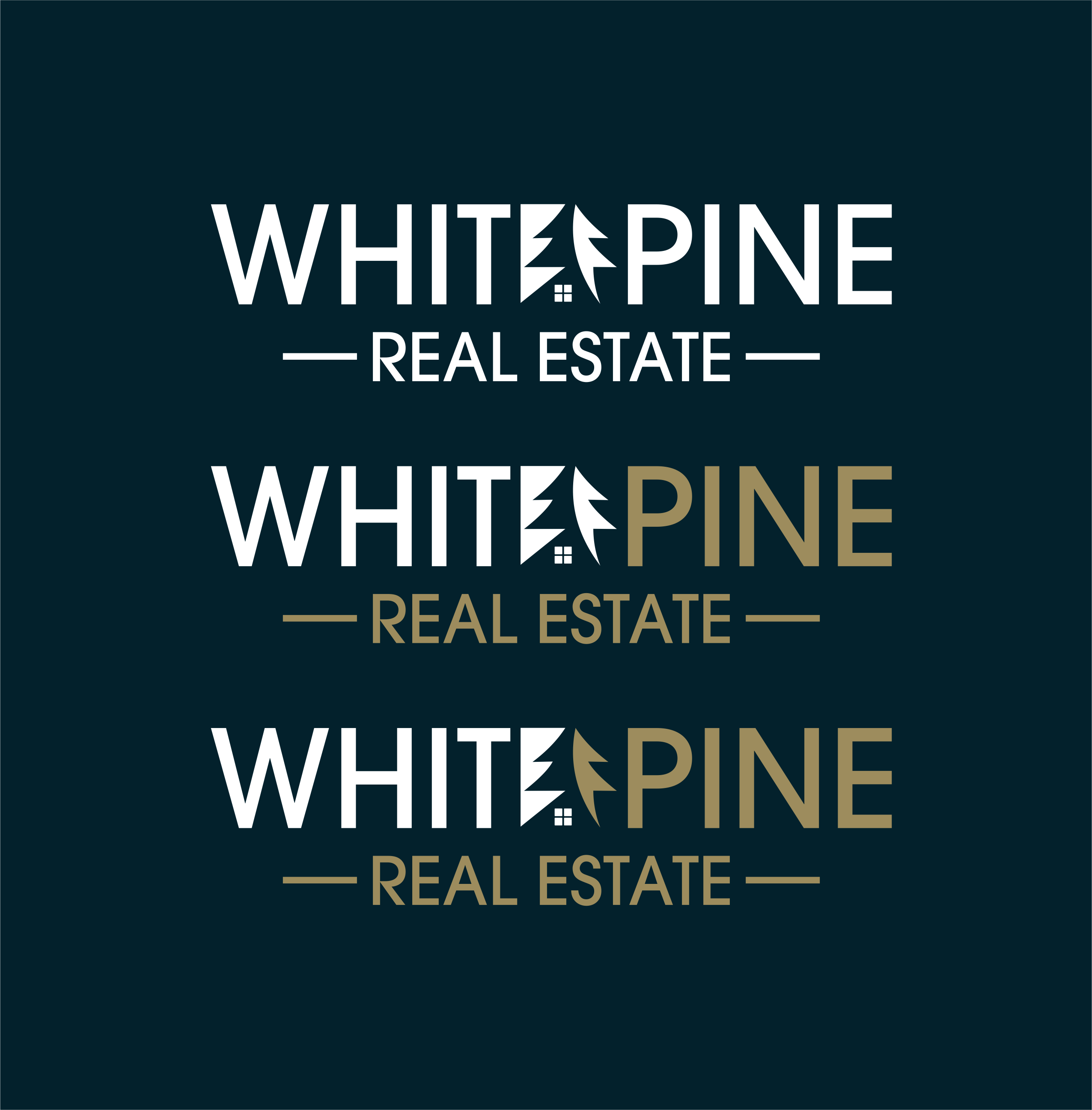 Design de Logo par ERLANDO RONTE RDJ pour ce projet | Design #28150048