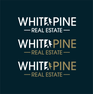 Design de Logo par ERLANDO RONTE RDJ pour ce projet | Design : #28150048