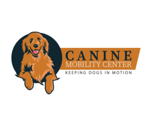 Logo Design by Designx333