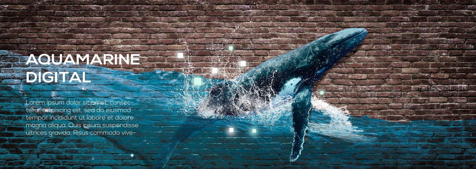 Illustration Design by exoddinary for this project | Design #28173743