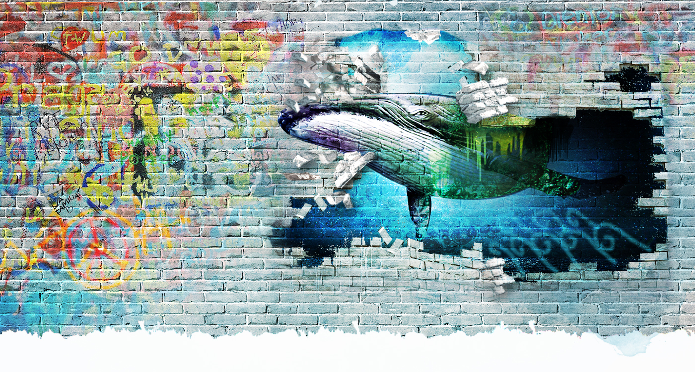 Illustration Design by MNM for this project | Design #28172753