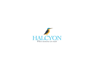 Design de Logo par Atvento Graphics pour Halcyon Watson LLC | Design : #28178156