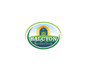 Design de Logo par instudio pour Halcyon Watson LLC | Design : #28166288