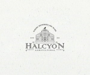 Design de Logo par step forward 2 pour Halcyon Watson LLC | Design : #28161030