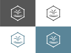 Logo Design by Anton for Fountain of Youth | Design: #28256286
