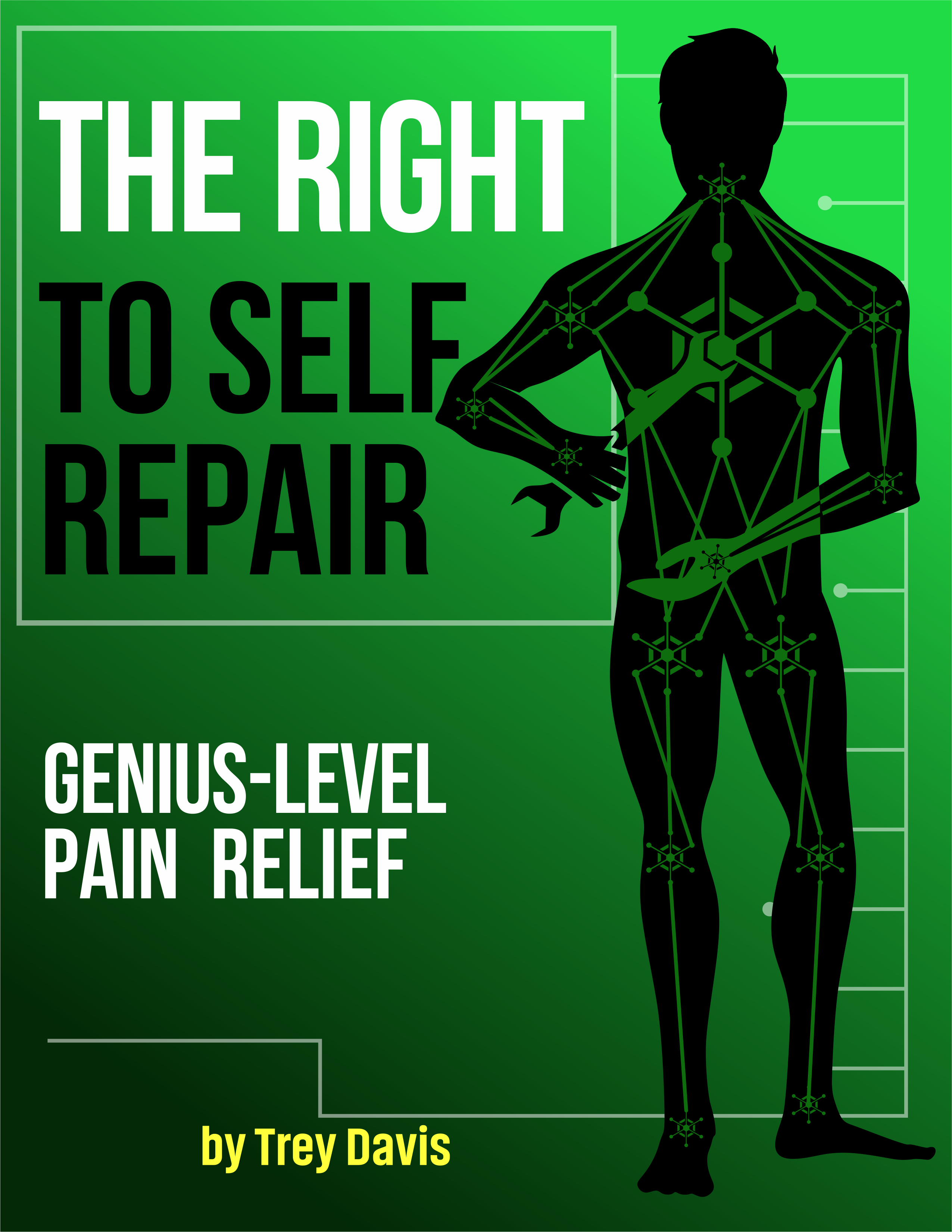 eBook-Abdeckung-Design von moisesf für dieses Projekt | Design #28218670