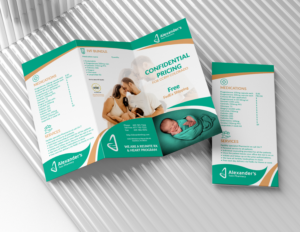 Diseño de Flyer por saurov para este proyecto | Diseño #28172568