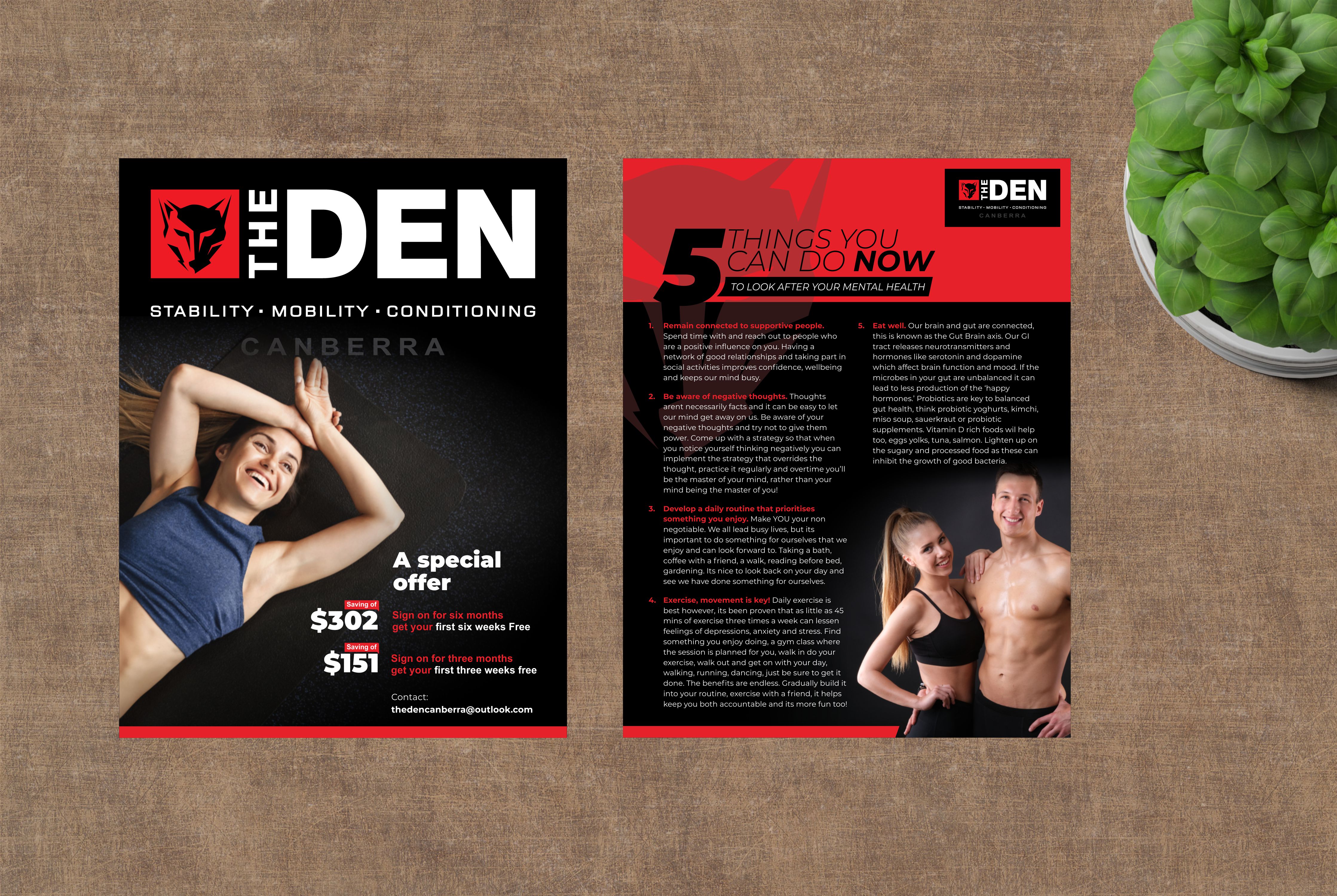 Diseño de Flyer por nng para este proyecto | Diseño #28182707