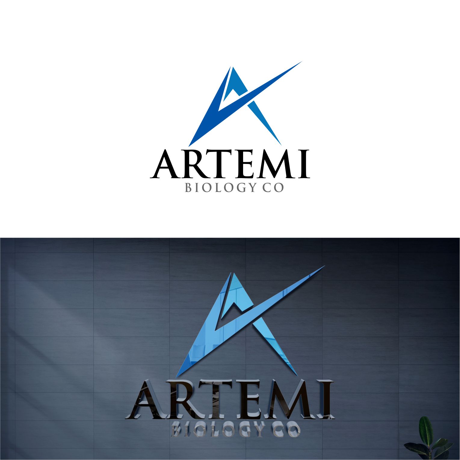 Logo Design by Hanif Logo's for this project | Design #28179363