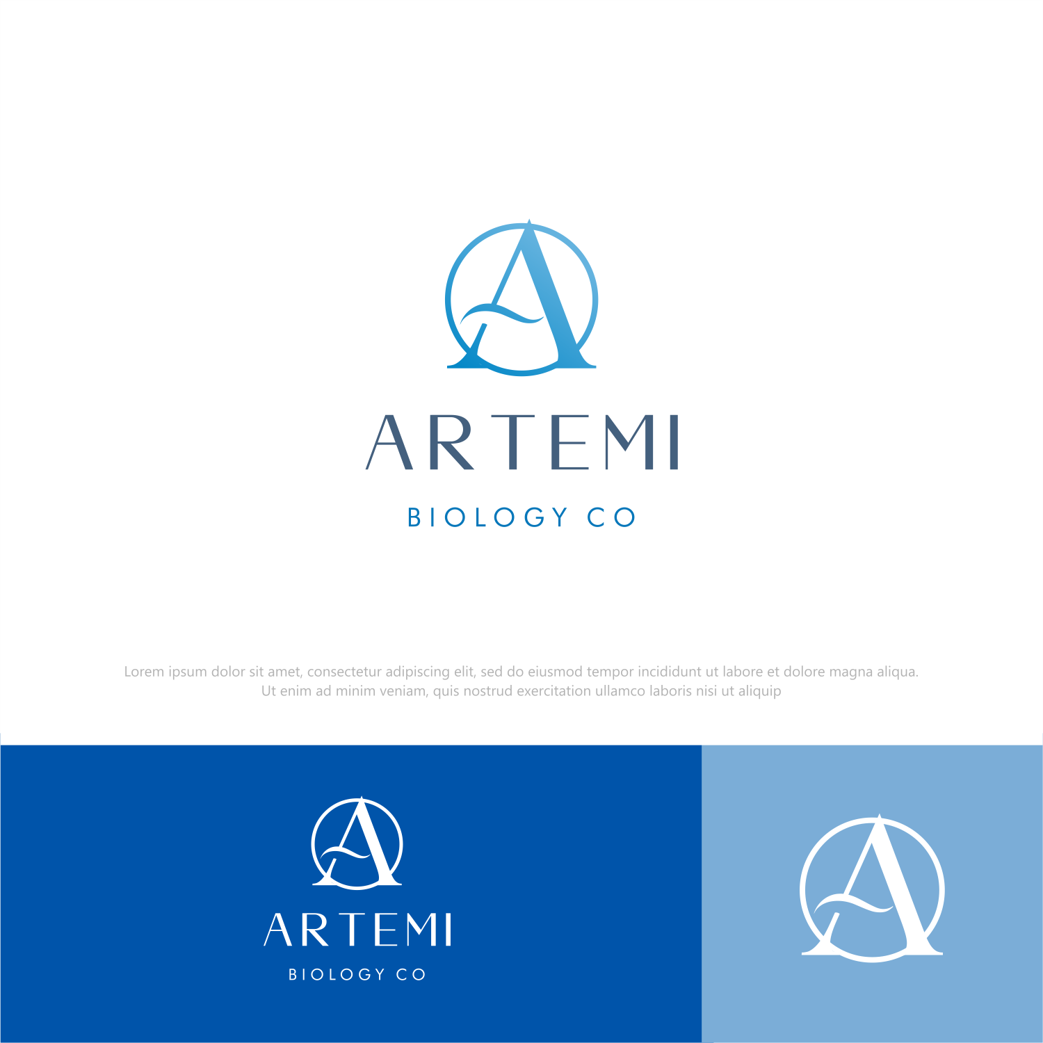 Diseño de Logo por ThiagoB para este proyecto | Diseño #28180637