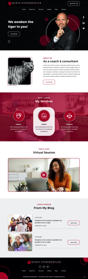 Wordpress Design by pb for Mario Bachlechner | Design: #28194324