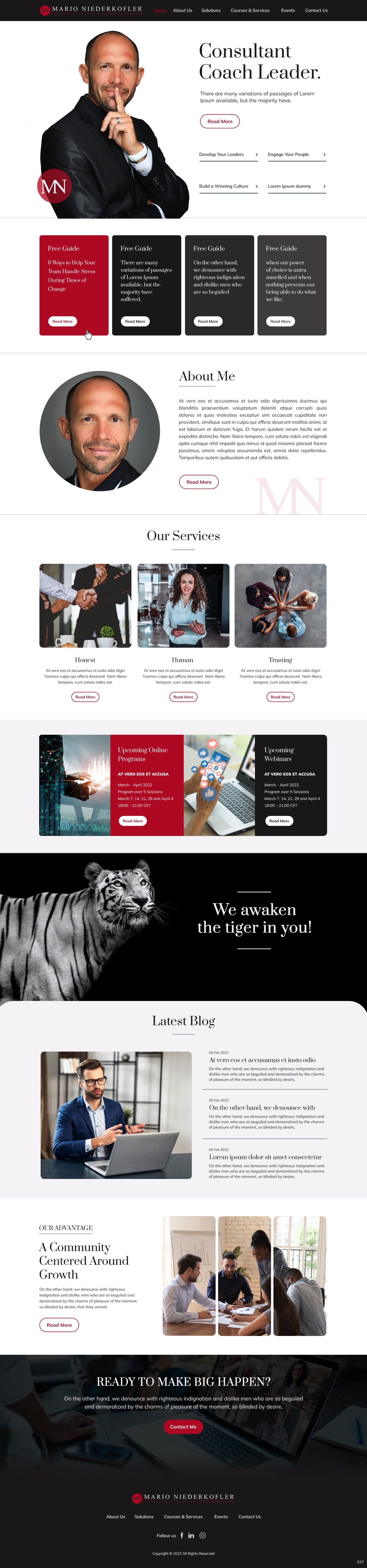 Wordpress Design by pb for Mario Bachlechner | Design #28194327