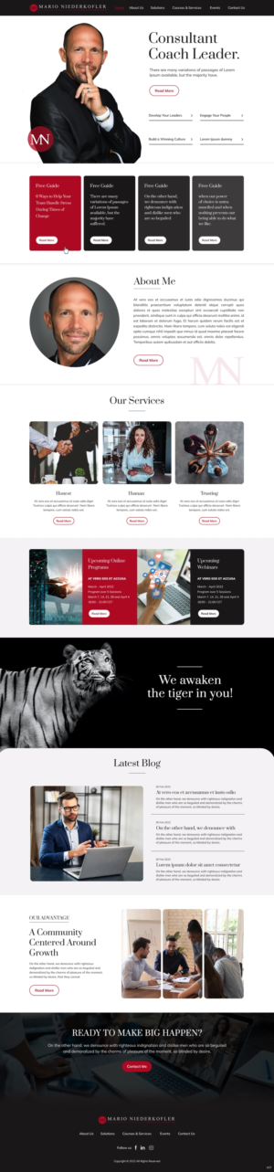 Wordpress Design by pb for Mario Bachlechner | Design: #28194327