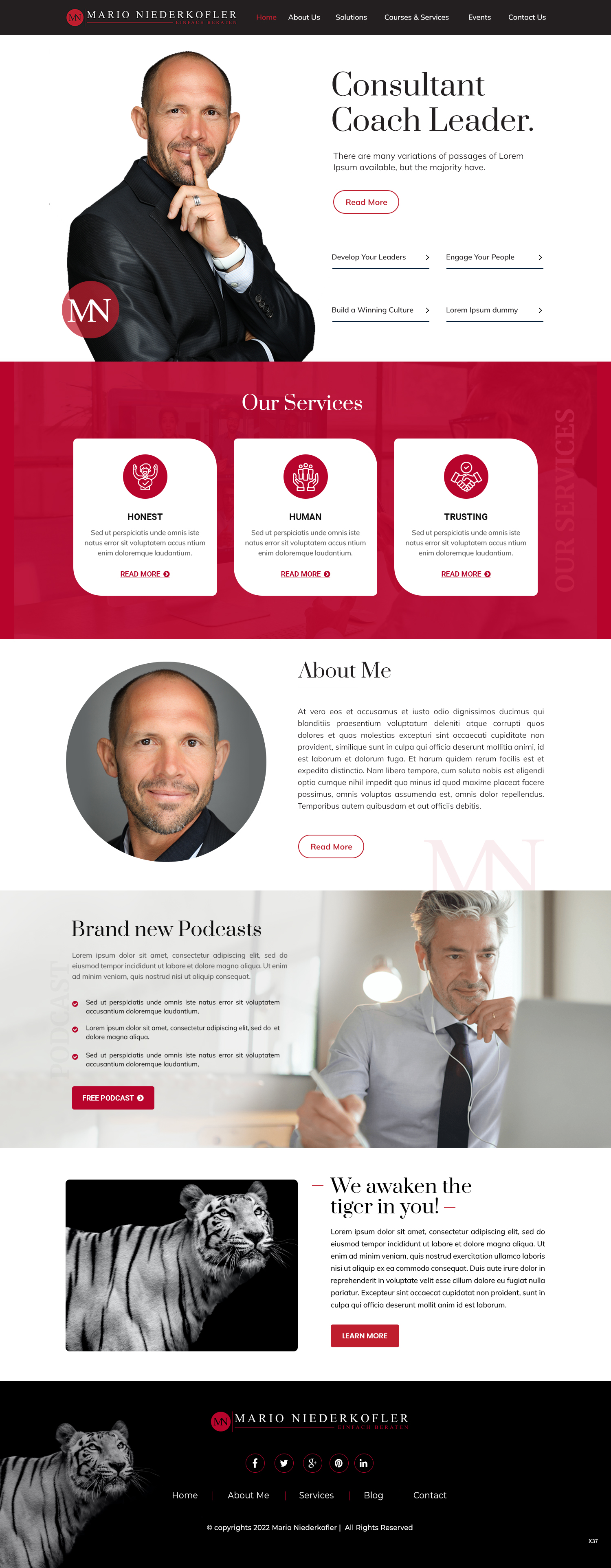 Wordpress Design by pb for Mario Bachlechner | Design #28280927