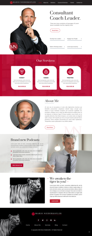 Wordpress Design by pb for Mario Bachlechner | Design: #28280927