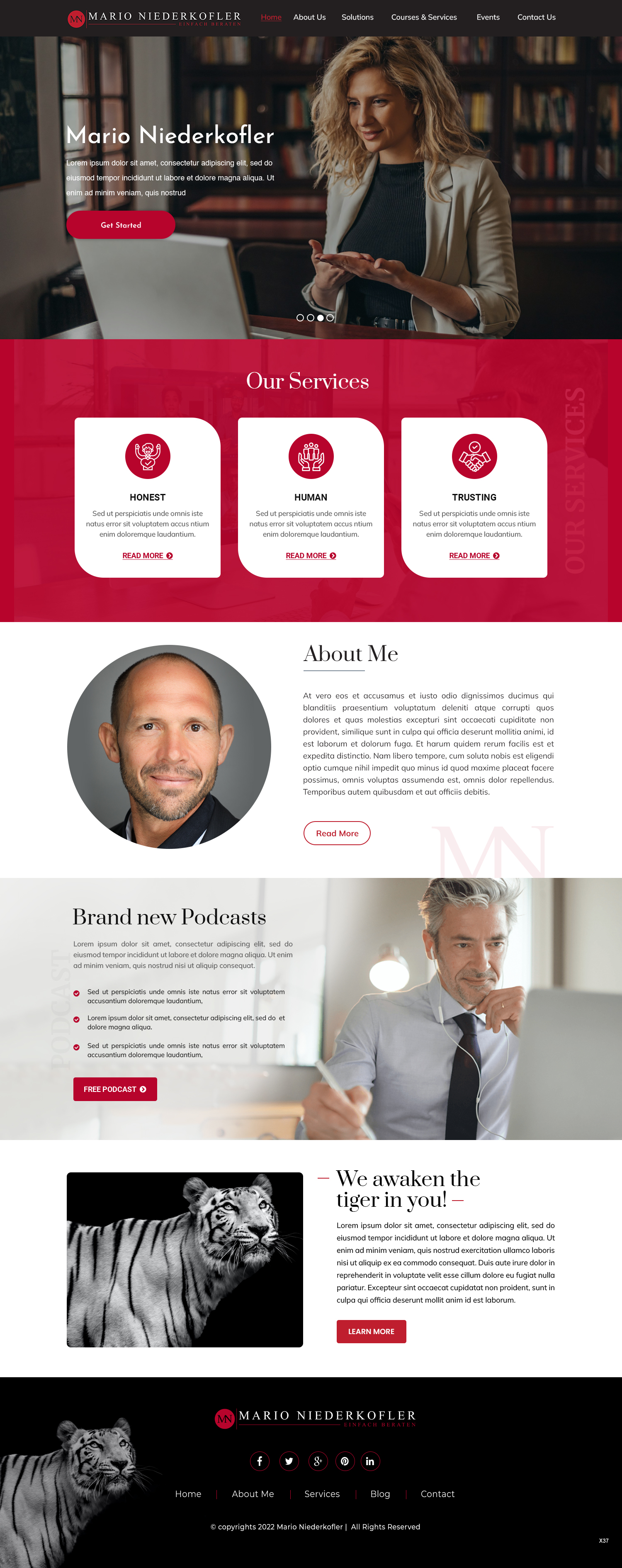 Wordpress Design by pb for Mario Bachlechner | Design #28280928