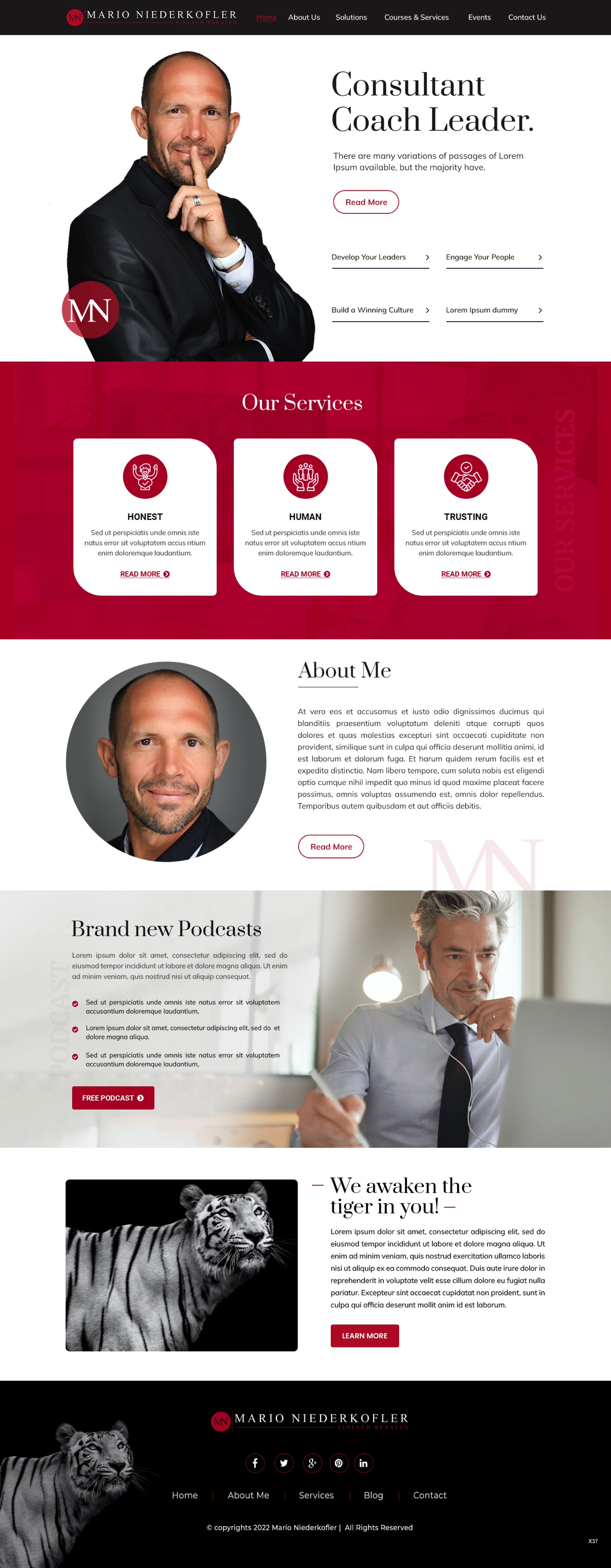 Wordpress Design by pb for Mario Bachlechner | Design #28286897