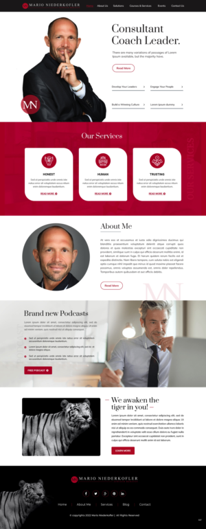 Wordpress Design by pb for Mario Bachlechner | Design: #28286897