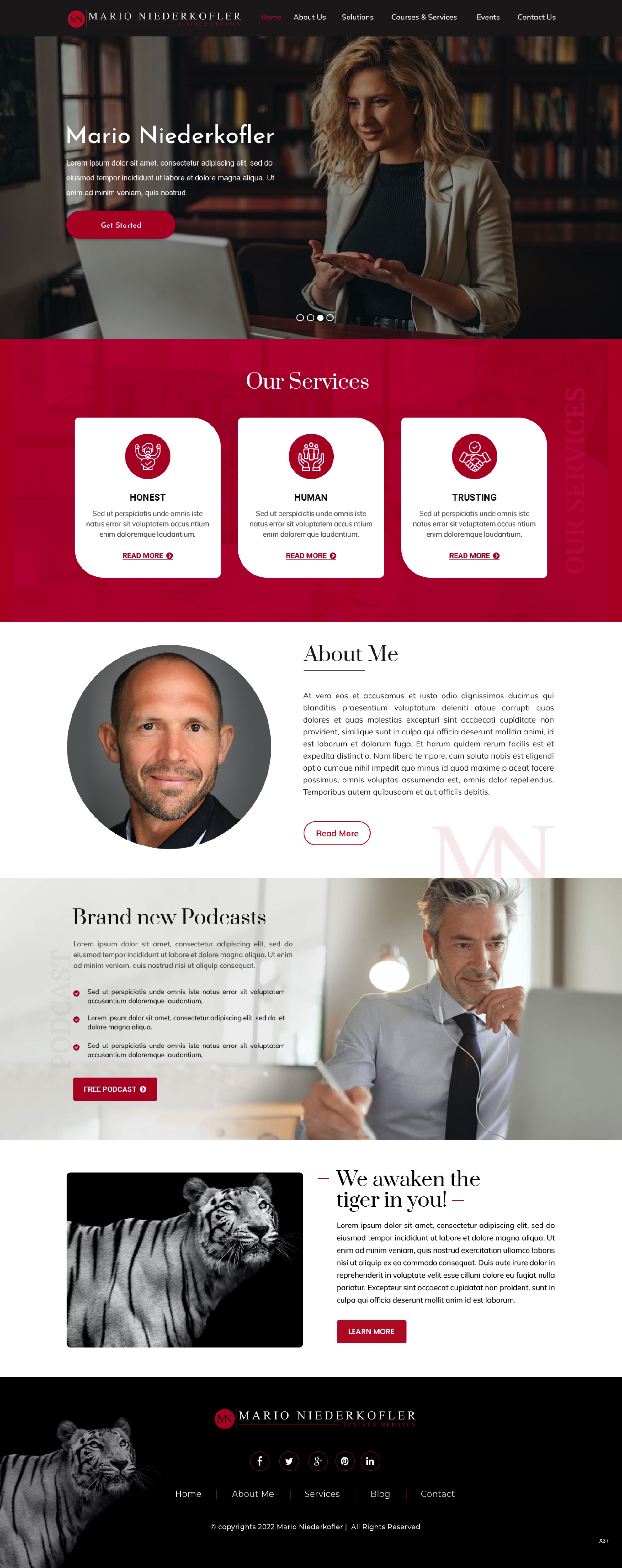 Wordpress Design by pb for Mario Bachlechner | Design #28286898