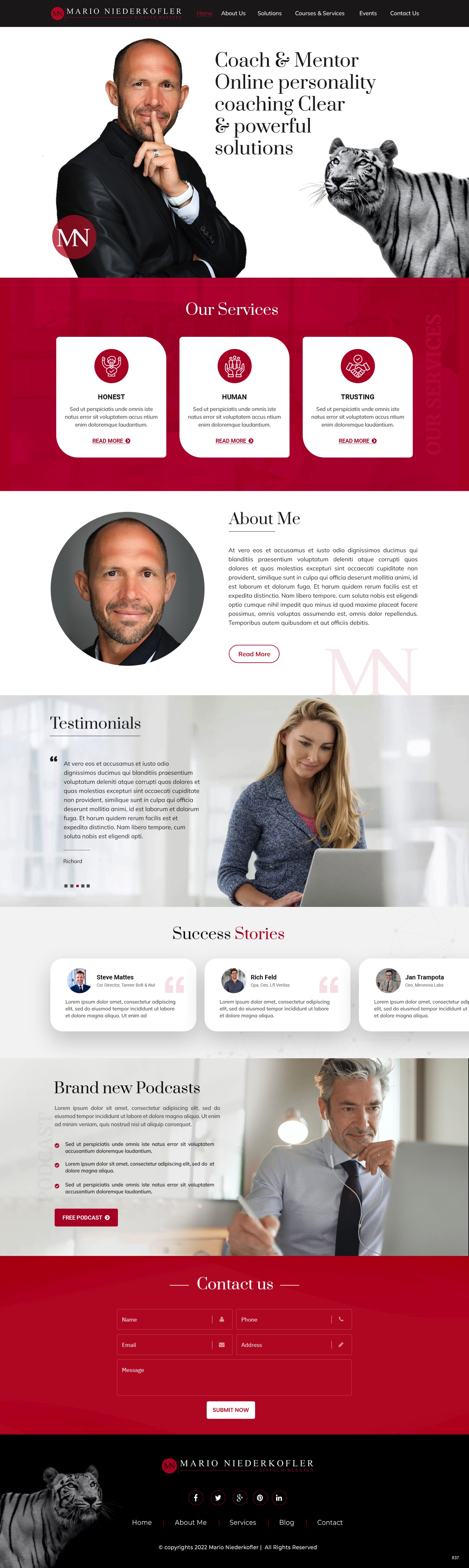 Wordpress Design by pb for Mario Bachlechner | Design #28311109