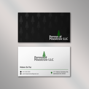 Business Card Design by Vishwa Basnayake for this project | Design: #28206906