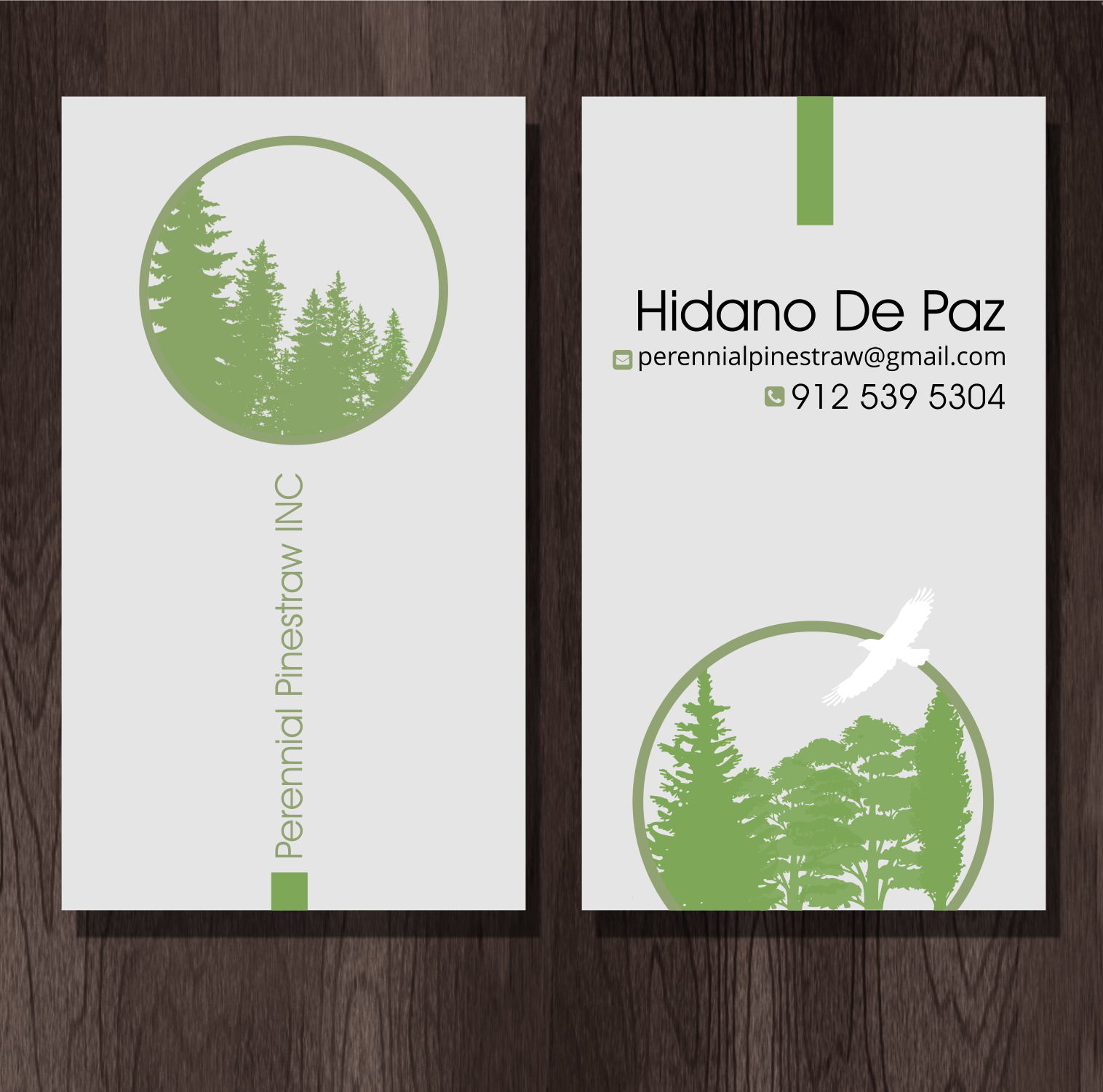 Business Card Design by elveneclipse for this project | Design #28189269