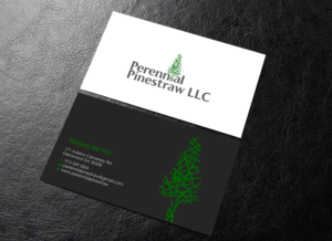 Business Card Design by chandrayaan.creative for this project | Design: #28192829