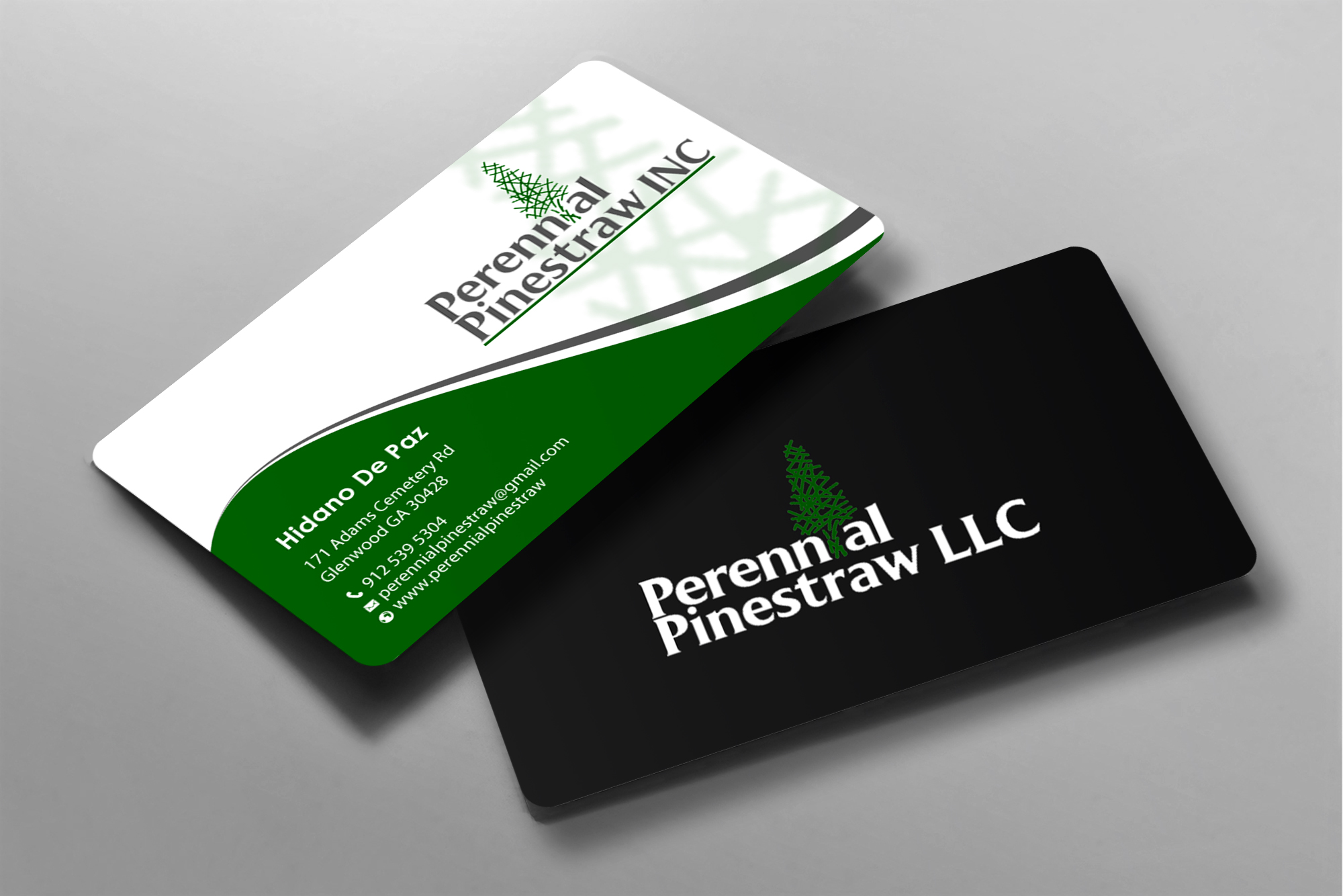 Business Card Design by chandrayaan.creative for this project | Design #28197574