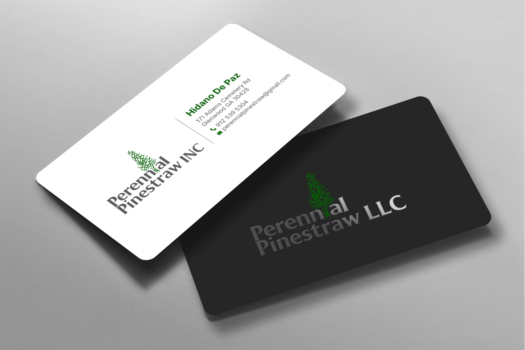 Business Card Design by chandrayaan.creative for this project | Design #28197710
