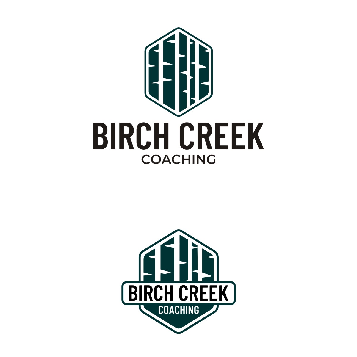 Design de Logo par OrianO-70 pour Birch Creek Coaching LLC | Design #28215047