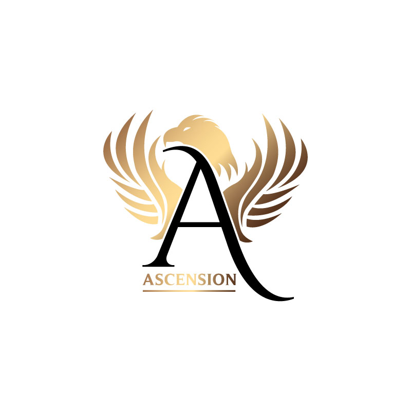 Logo Design by Ansh Design for this project | Design #28192688