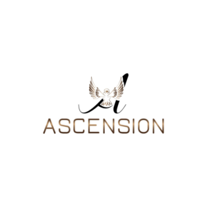 Logo Design by Ansh Design for this project | Design: #28192689