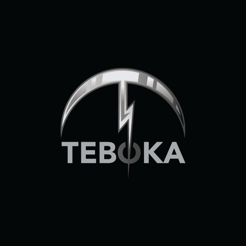 Logo Design by Ansh Design for this project | Design #28199343