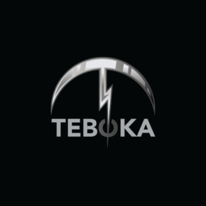 Logo Design by Ansh Design for this project | Design: #28199343