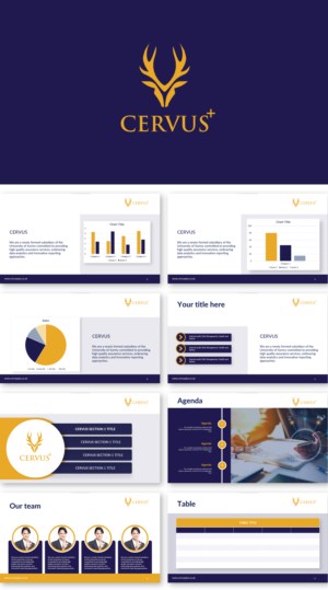 PowerPoint Design by Pixelon Studio for this project | Design #28200368