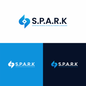 S.P.A.R.K. for Entrepreneurial Equity           Supporting Progress, Access, Relationships & Knowledge             A Branches and City National Bank collaboration | Logo Design by achil78