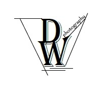 Logo Design by Andrea1968 for iLeads.com | Design #3067474