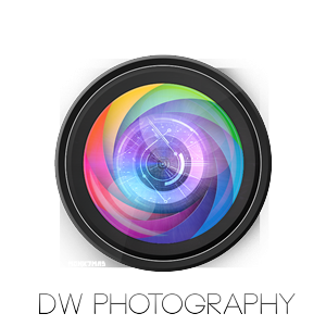 Logo Design by taz for iLeads.com | Design: #3067041